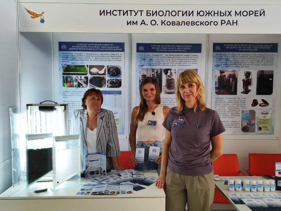 _Новое время 12.jpg