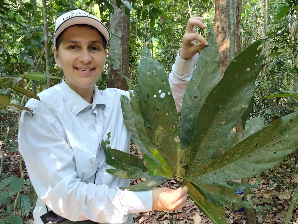 Каширина 1.png