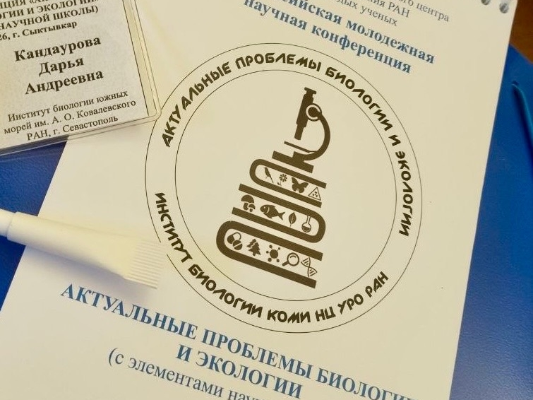 Молодежная конфа 8.png