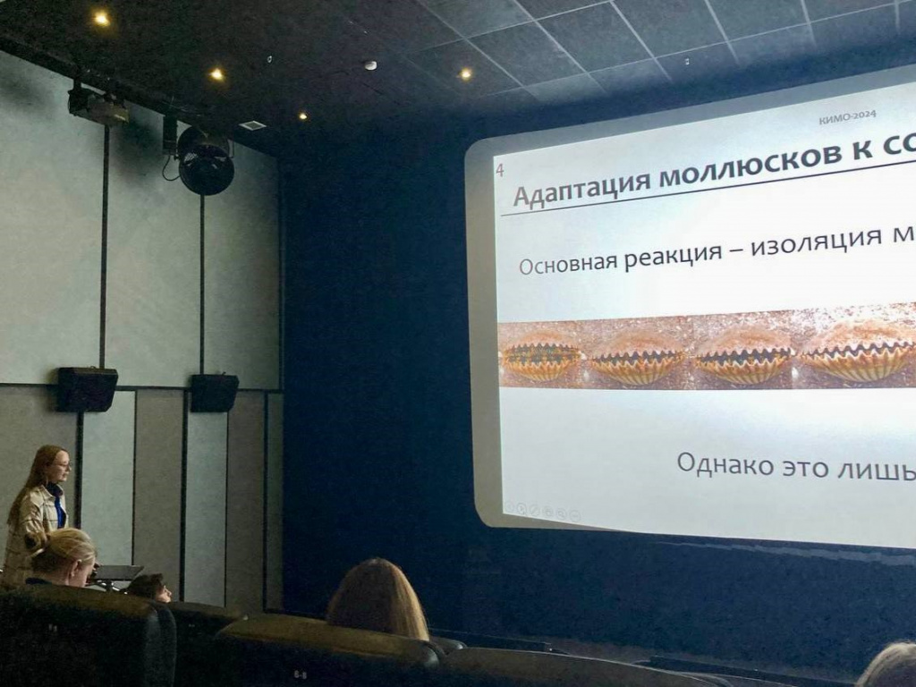 _КИМО 2.jpeg