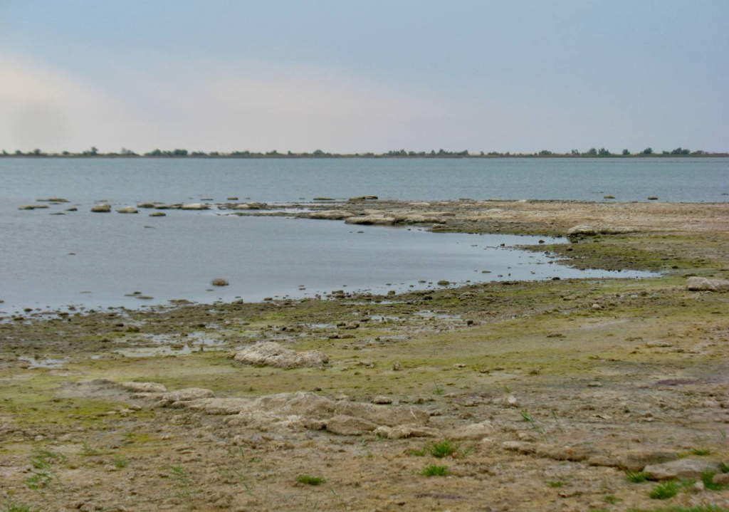 2.Учёные ИнБЮМ во время экспедиции зафиксировали усыхание гиперсолёных озёр Крыма