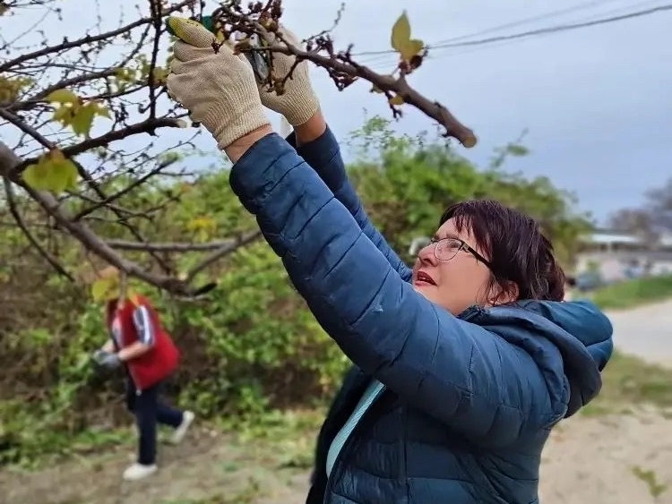 Субботник 21.png