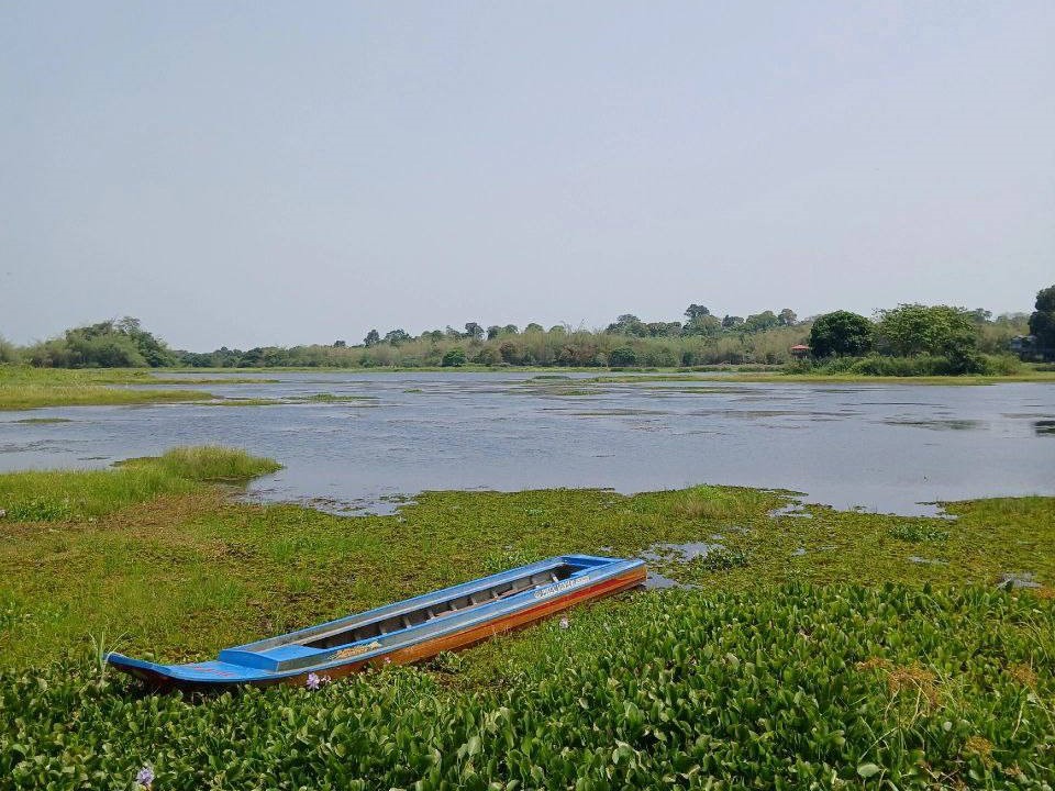 _Кат тьен 6.jpg