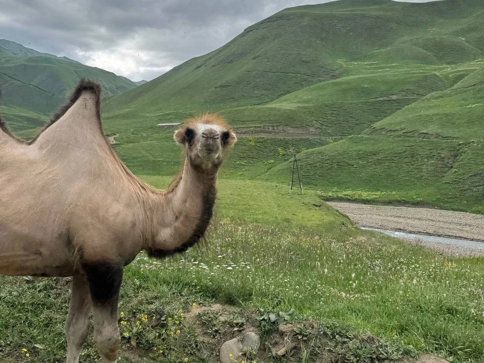 _Дагестан завершение 15.jpg