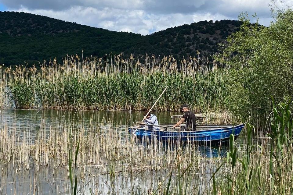 1. Учёные ФИЦ ИнБЮМ оценят загрязнение прудов Севастополя по состоянию водной растительности